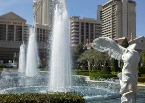 Vegas Updates from a Local | View More