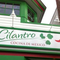 Cilantro (vegetarian review)