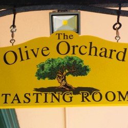 Olive Orchard Open