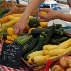 Visit the Farmers’ Markets