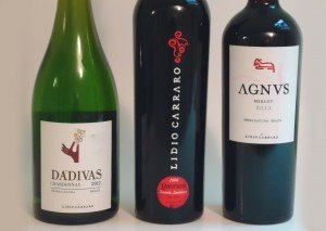 Brazilian Wines — Who Knew!? | View More