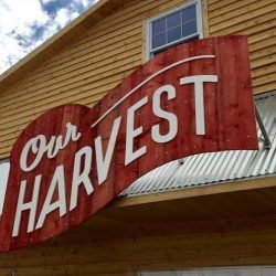 Our Harvest Open