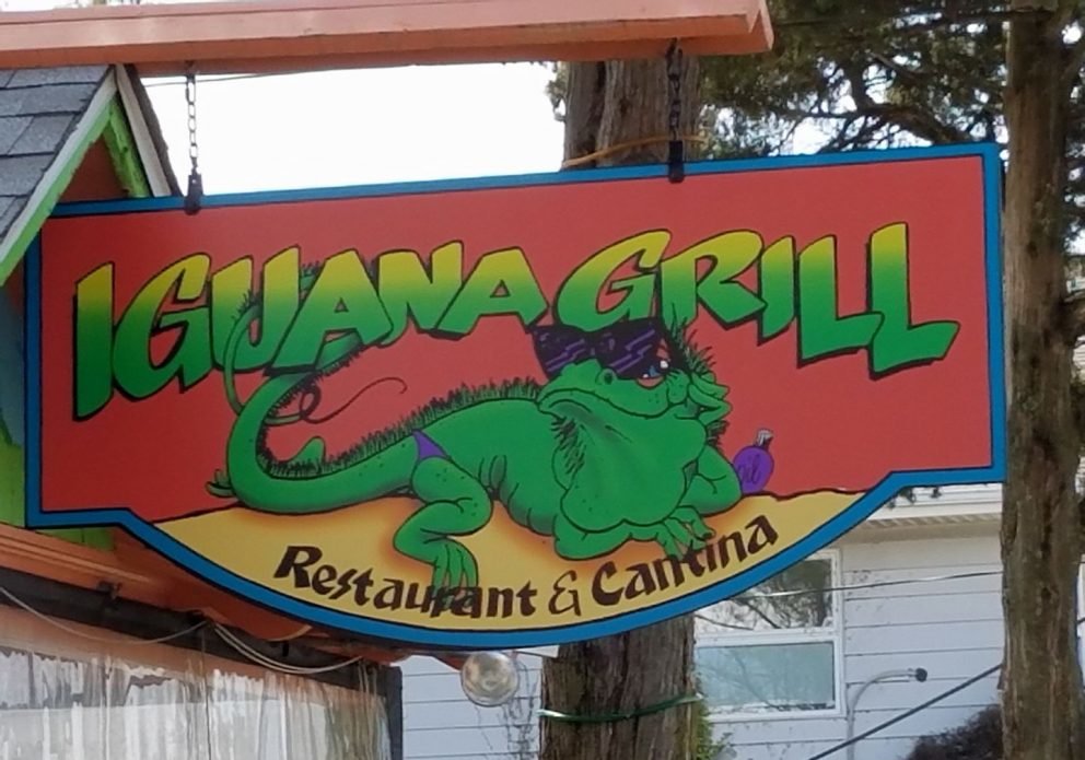 iguana grill logo iguanacrenh