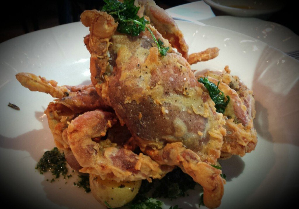 Lupo Italian Kitchen Restaurant Reviews Rehoboth Beach DE Area