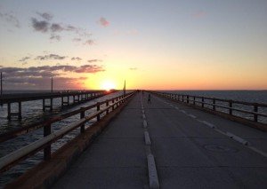 Updates from a Key West regular | View More