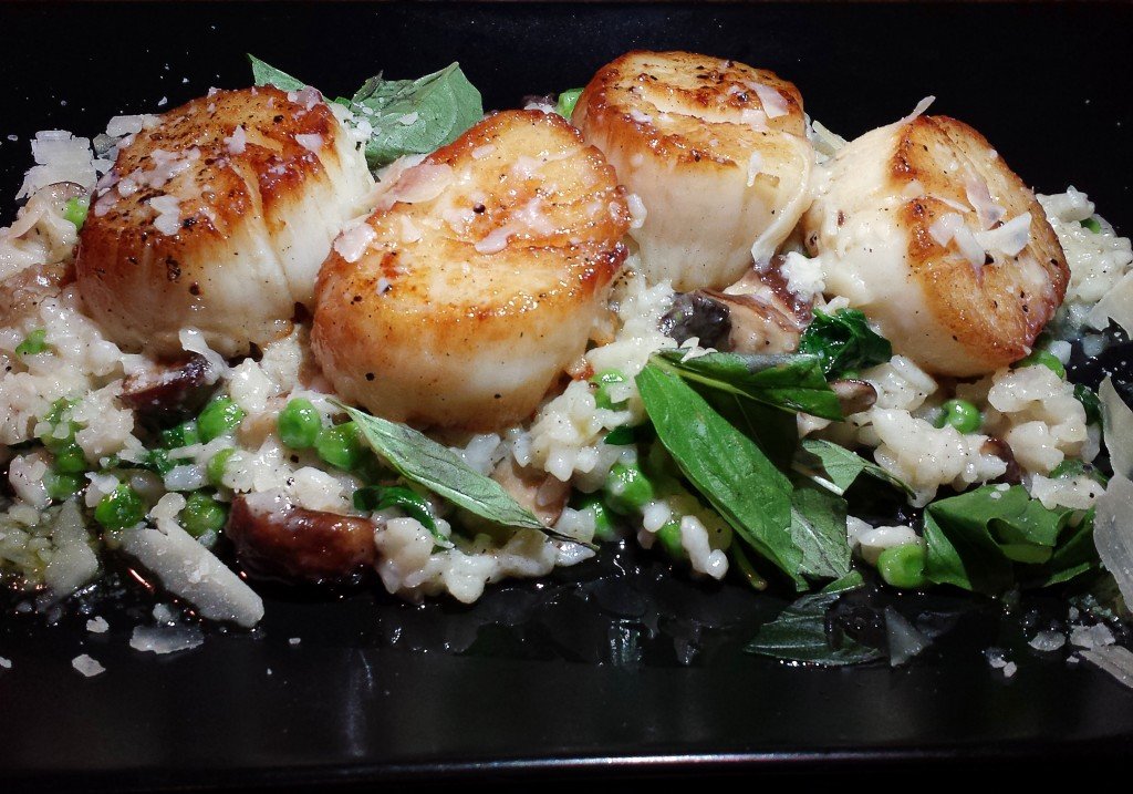 Michy's Relaxed Dining Restaurant Reviews Rehoboth Beach DE Area