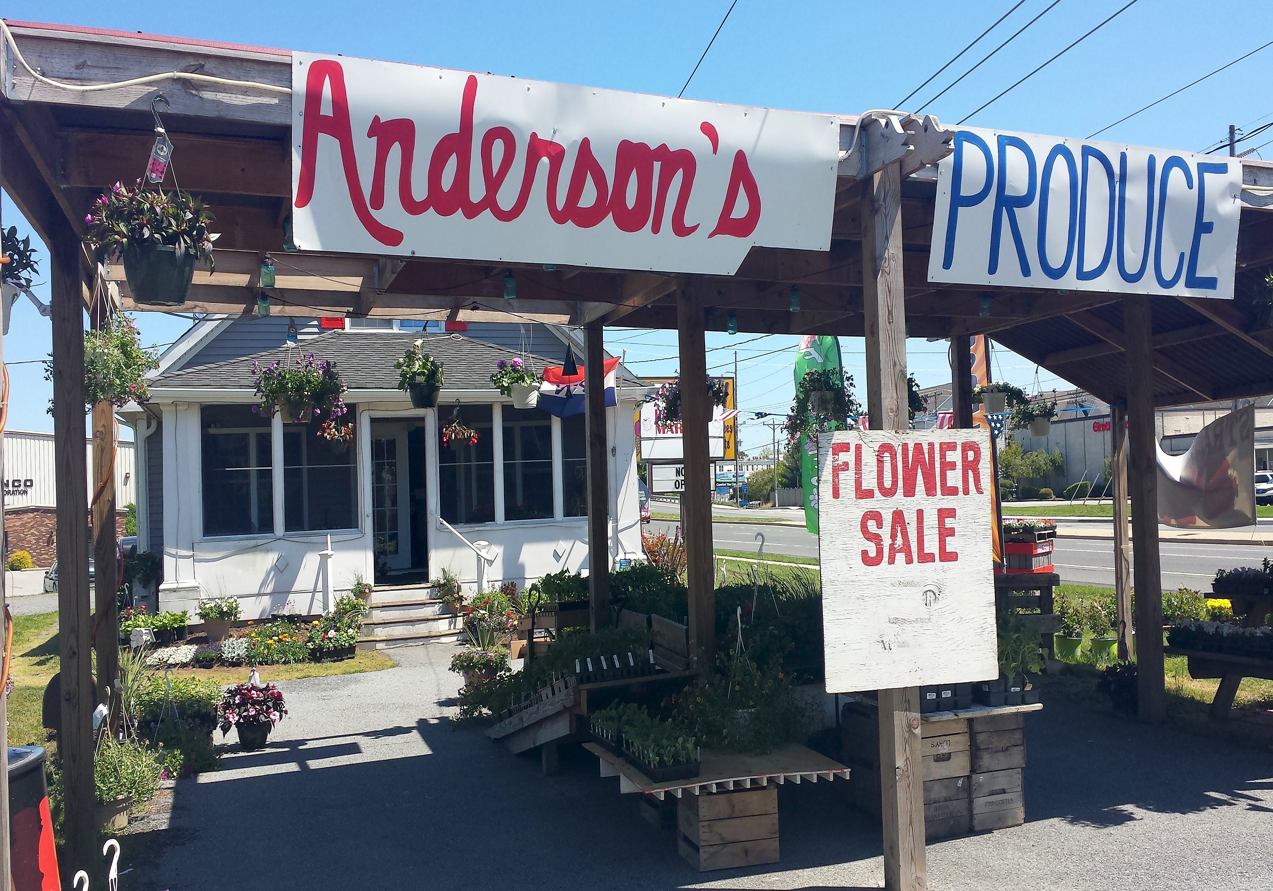 Gelato Gal, Anderson's Produce, Rehoboth