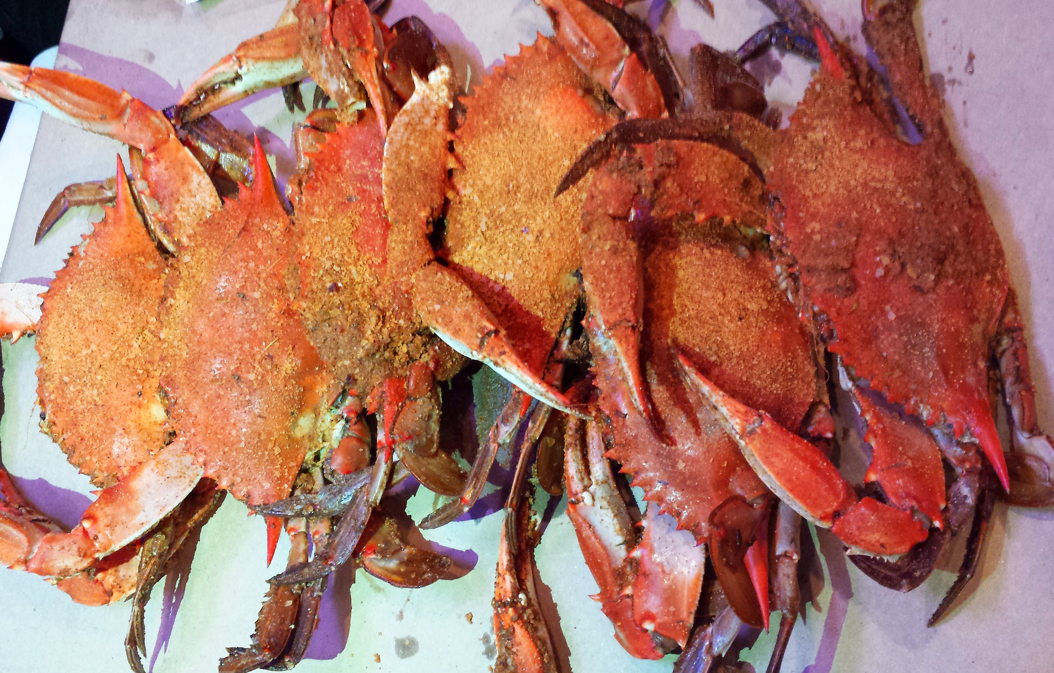 AYCE Crabs & Wings 6/19 Restaurant Reviews Rehoboth Beach DE Area