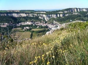 Roquefort combalou caves