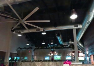 JD shuckers gtown 2 hitech ceilingcrenhsized