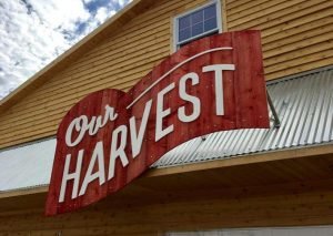 Our Harvest Open | View More