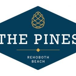 Revamped Space for The Pines