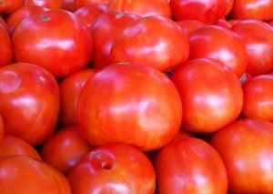 Tomato Sunshine is back | View More