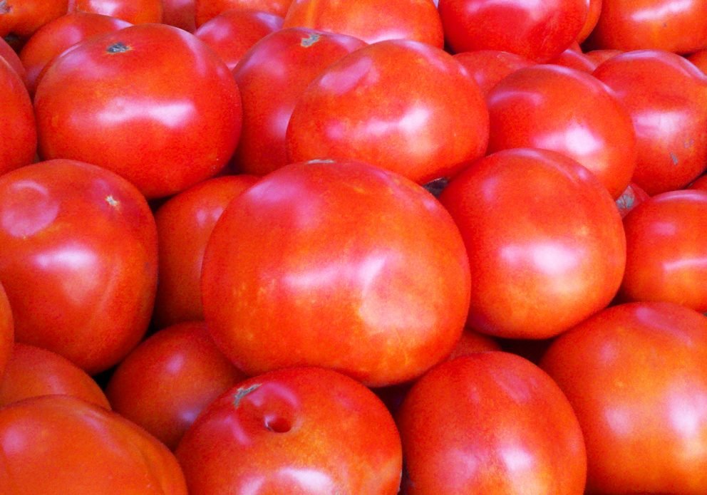 TOMATO tomatoes close rimp