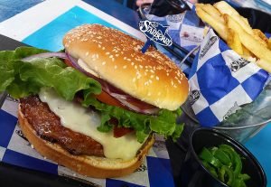 starboard NEW 2 board burger sized