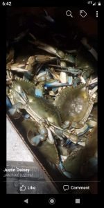 bushels 2 crabs
