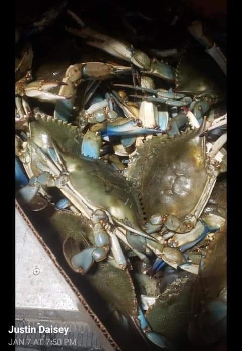 bushels 2 crabs