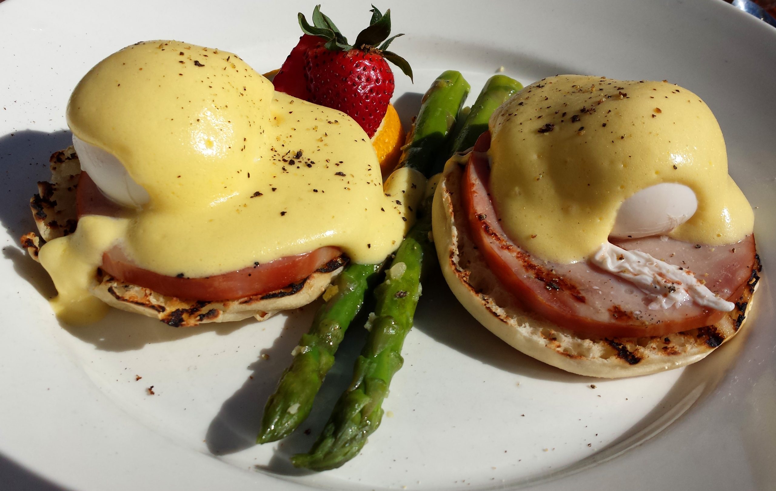 Egg Restaurant Rehoboth Beach - ewghnlf