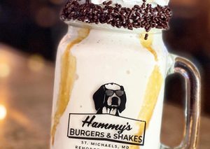 Theo’s, Avas & Hammy’s Oh my! | View More